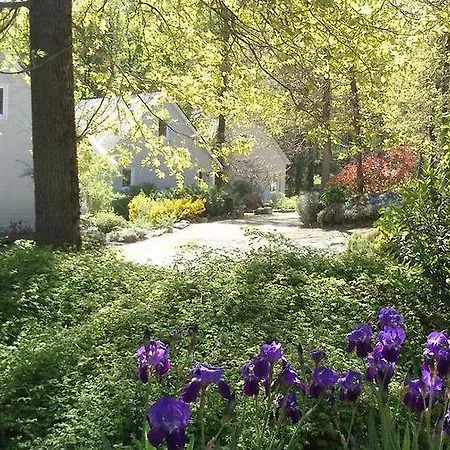 Les De Saumur, Piscine & Parc Boise, 100m Du Cadrenoir Apartmán *