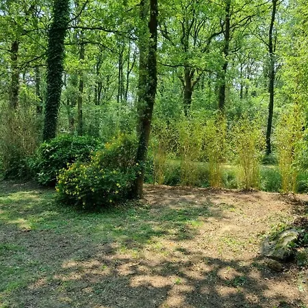 דירה Les De Saumur, Piscine & Parc Boise, 100m Du Cadrenoir סומור