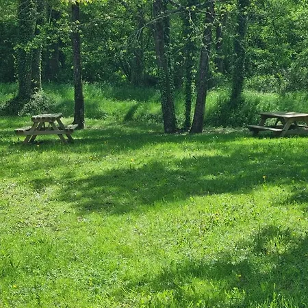 Les De Saumur, Piscine & Parc Boise, 100m Du Cadrenoir *