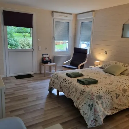 Les De Saumur, Piscine&parc Boisé, 100m Du Cadrenoir Appartement *
