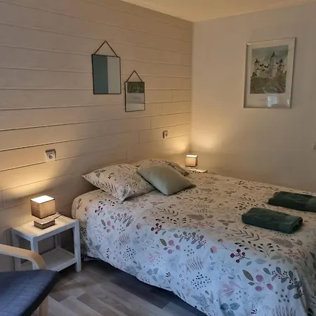 Les De Saumur, Piscine & Parc Boise, 100m Du Cadrenoir 公寓 索米尔