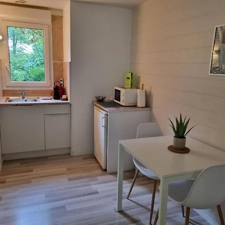 Les De Saumur, Piscine & Parc Boise, 100m Du Cadrenoir *