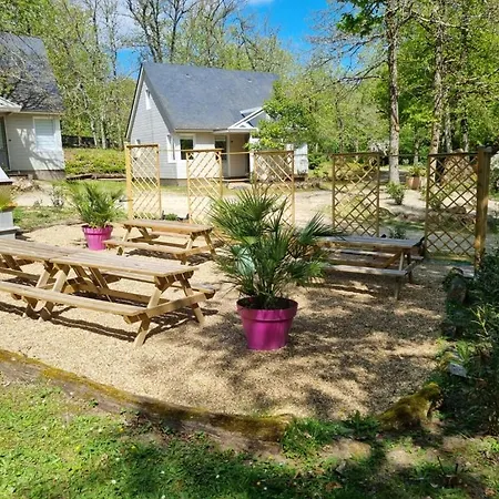 Les De Saumur, Piscine & Parc Boise, 100m Du Cadrenoir