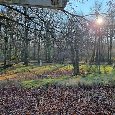 Les De Saumur, Piscine & Parc Boise, 100m Du Cadrenoir