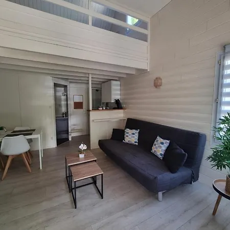 Apartament Les De Saumur, Piscine & Parc Boise, 100m Du Cadrenoir Saumur