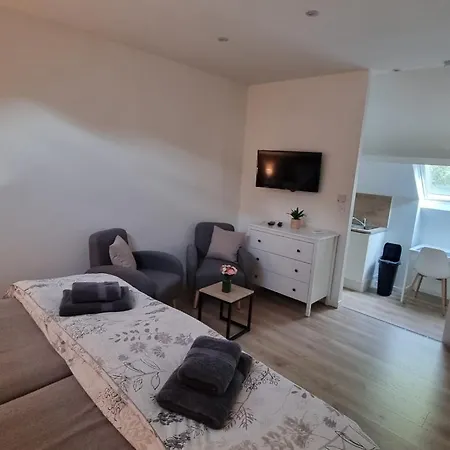 Les De Saumur, Piscine & Parc Boise, 100m Du Cadrenoir Apartament Saumur