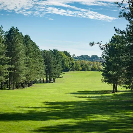 Lejlighed Les De Saumur, Piscine & Parc Boise, 100m Du Cadrenoir
