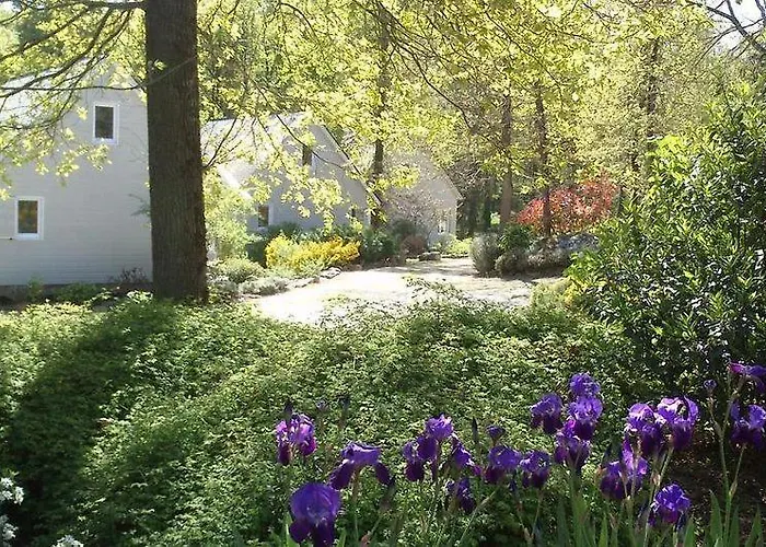 Les De Saumur, Piscine & Parc Boise, 100m Du Cadrenoir Διαμέρισμα *