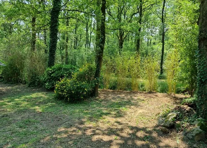 Appartement Les De Saumur, Piscine&parc Boisé, 100m Du Cadrenoir Saumur