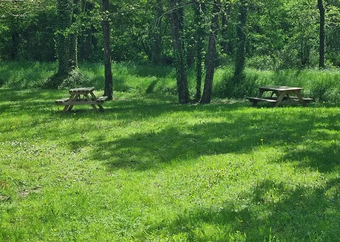 Les De Saumur, Piscine & Parc Boise, 100m Du Cadrenoir *