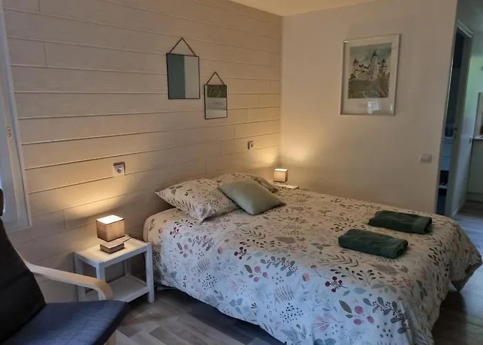 Les De Saumur, Piscine & Parc Boise, 100m Du Cadrenoir Διαμέρισμα Saumur