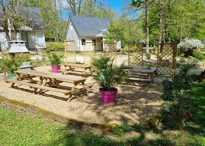 Les De Saumur, Piscine&parc Boisé, 100m Du Cadrenoir