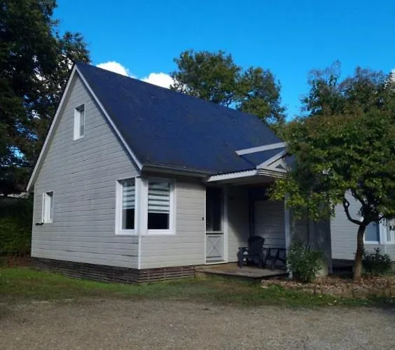 Appartement Les De Saumur, Piscine&parc Boisé, 100m Du Cadrenoir *