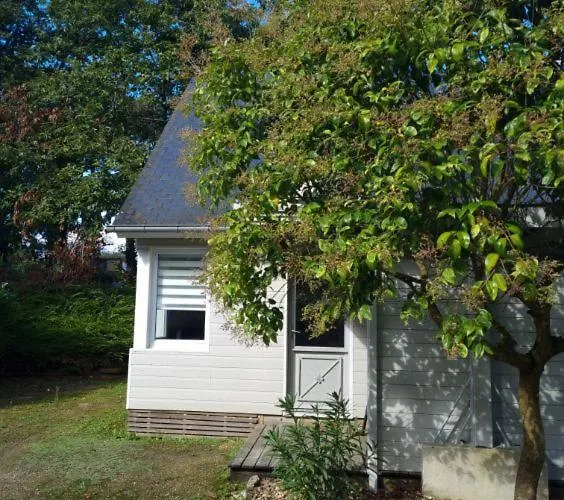 Les De Saumur, Piscine & Parc Boise, 100m Du Cadrenoir Saumur