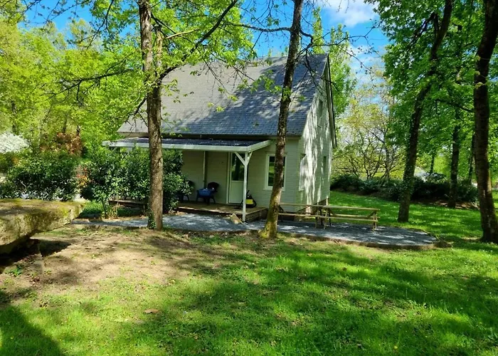 Appartement Les De Saumur, Piscine&parc Boisé, 100m Du Cadrenoir Saumur