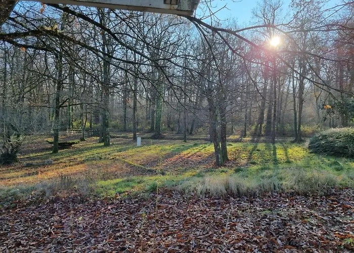 Les De Saumur, Piscine & Parc Boise, 100m Du Cadrenoir