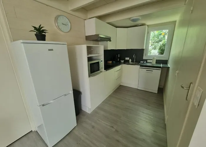 Les De Saumur, Piscine & Parc Boise, 100m Du Cadrenoir Διαμέρισμα *