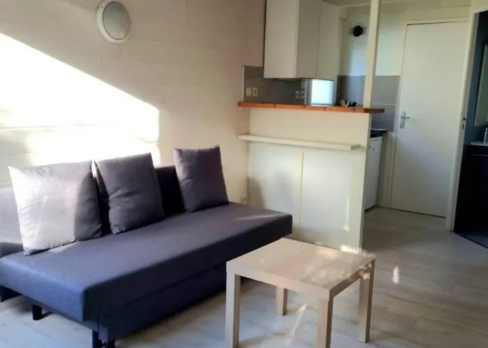 Les De Saumur, Piscine&parc Boisé, 100m Du Cadrenoir Appartement *