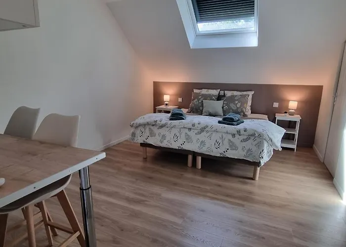 Appartement Les De Saumur, Piscine&parc Boisé, 100m Du Cadrenoir Saumur