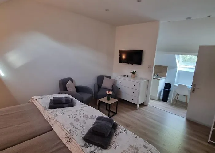 Les De Saumur, Piscine&parc Boisé, 100m Du Cadrenoir Appartement Saumur